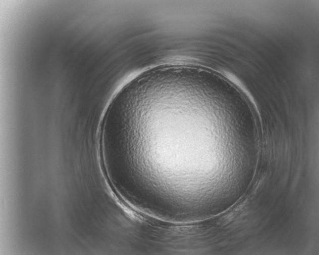 X0000058131437200509301941