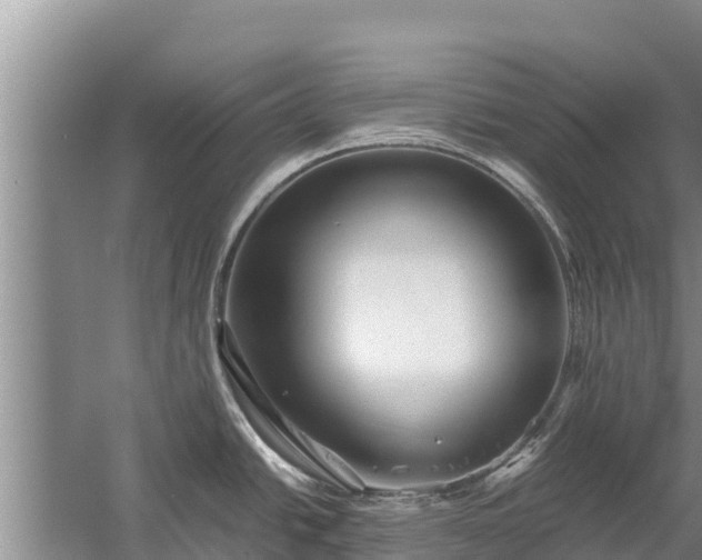 X0000058131438200509301941