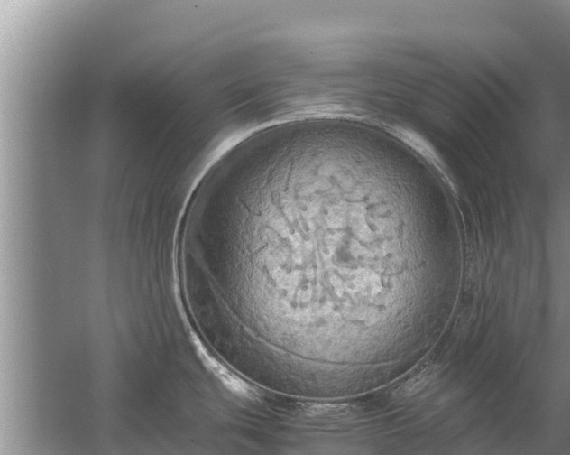 X0000058131439200509301941