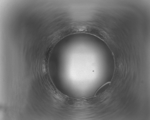 X0000058131442200509301940