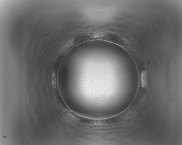 X0000058131443200509301940