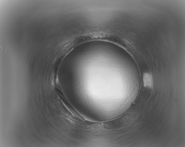 X0000058131444200509301940