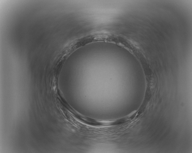 X0000058131445200509301940