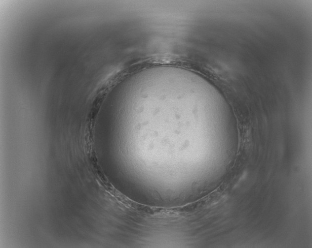 X0000058131446200509301940