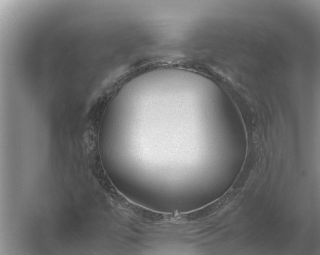 X0000058131447200509301940