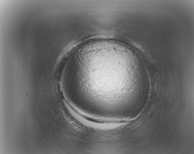 X0000058131448200509301940