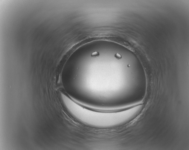 X0000058131449200509301940