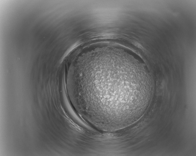 X0000058131450200509301940