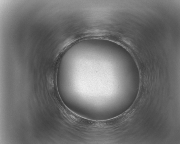 X0000058131451200509301940