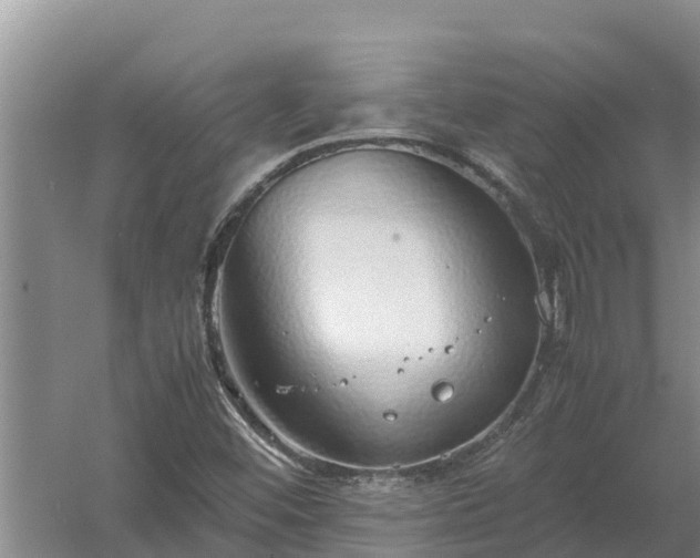 X0000058131452200509301940