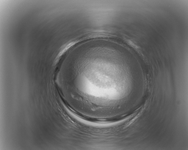 X0000058131453200509301940