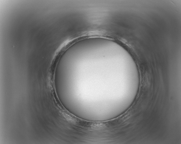 X0000058131454200509301940