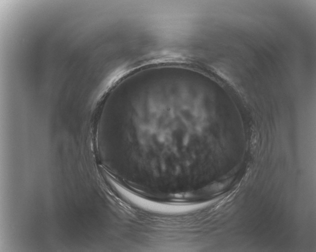 X0000058131455200509301940