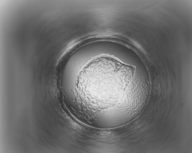 X0000058131456200509301940