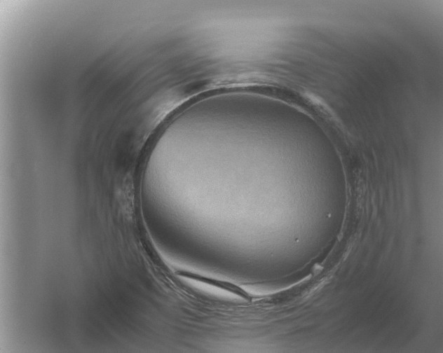 X0000058131457200509301940