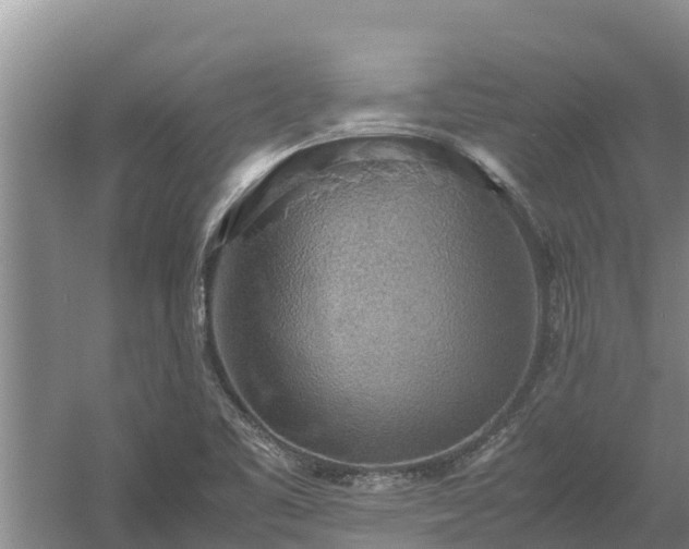 X0000058131461200509301940