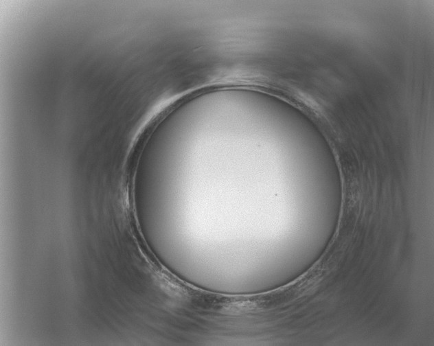 X0000058131462200509301940