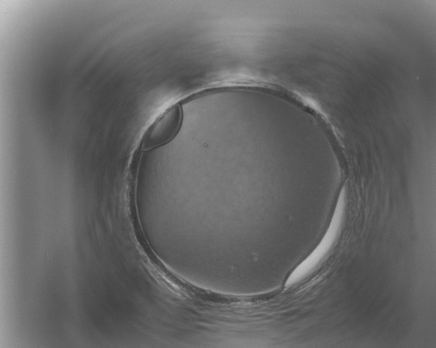 X0000058131463200509301940