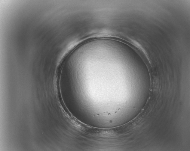 X0000058131464200509301940