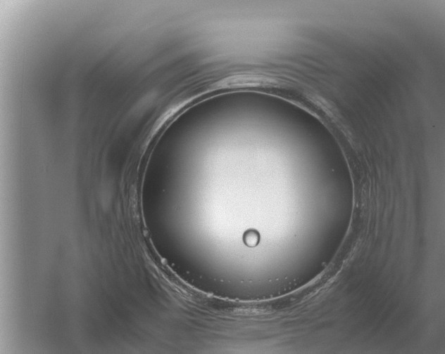 X0000058131465200509301940