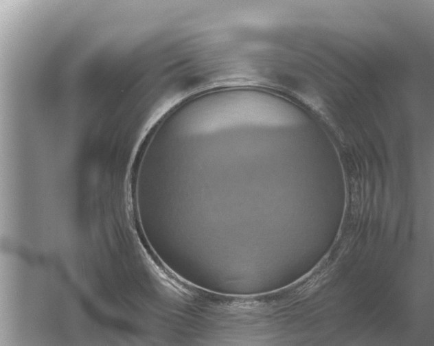 X0000058131466200509301940