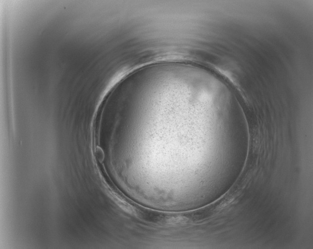 X0000058131467200509301940