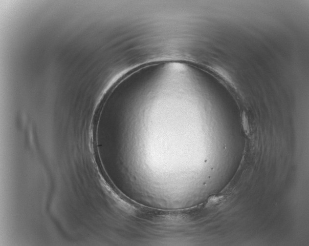 X0000058131468200509301940