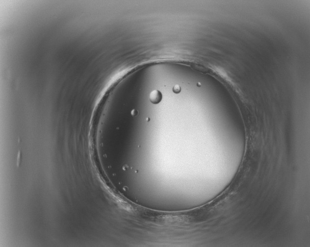 X0000058131469200509301940