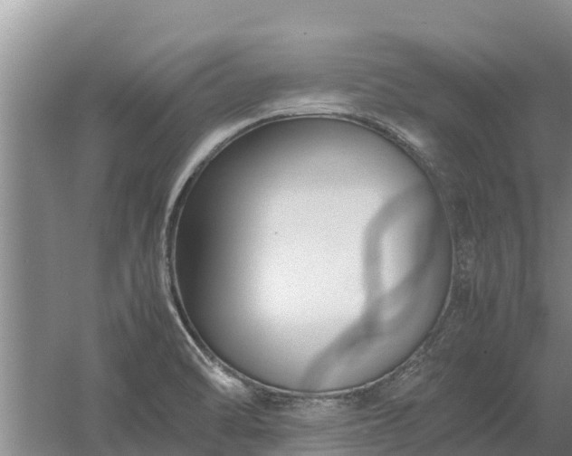 X0000058131470200509301940