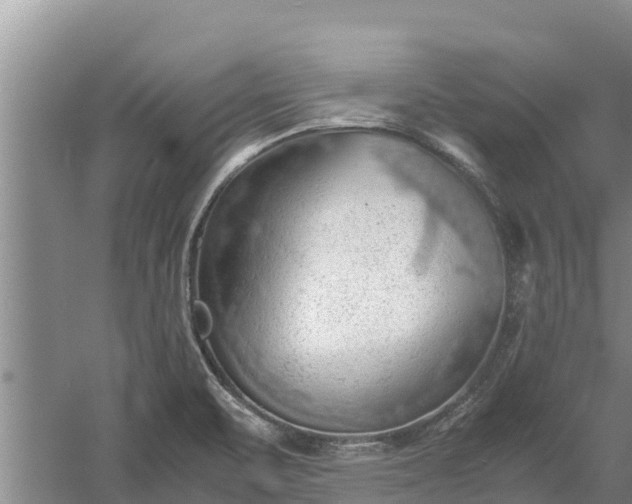 X0000058131471200509301940