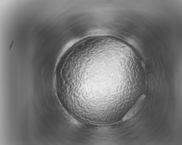 X0000058131472200509301940