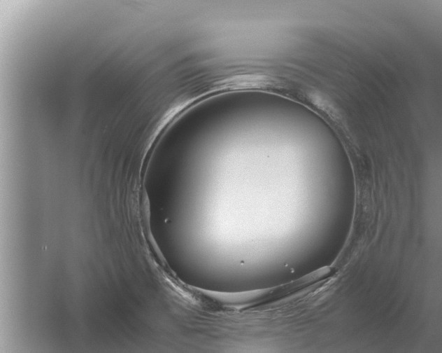 X0000058131473200509301940