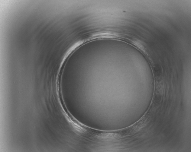 X0000058131474200509301940