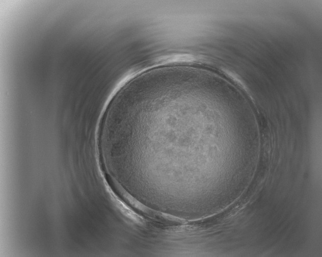 X0000058131475200509301940