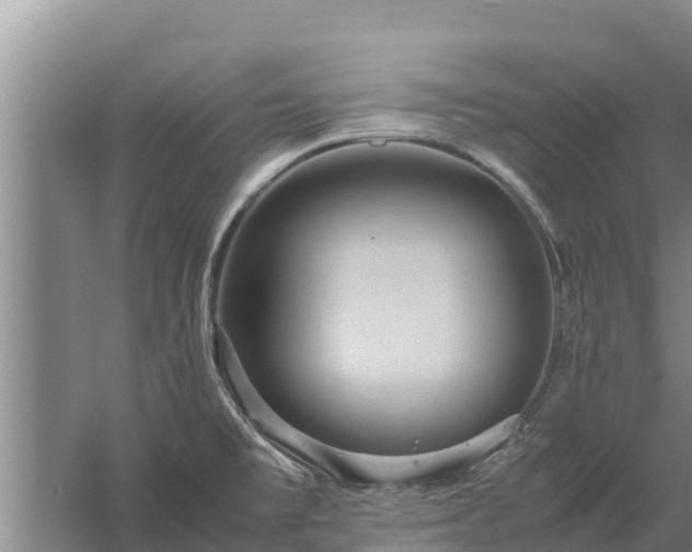 X0000058131477200509301940