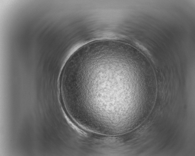 X0000058131479200509301940