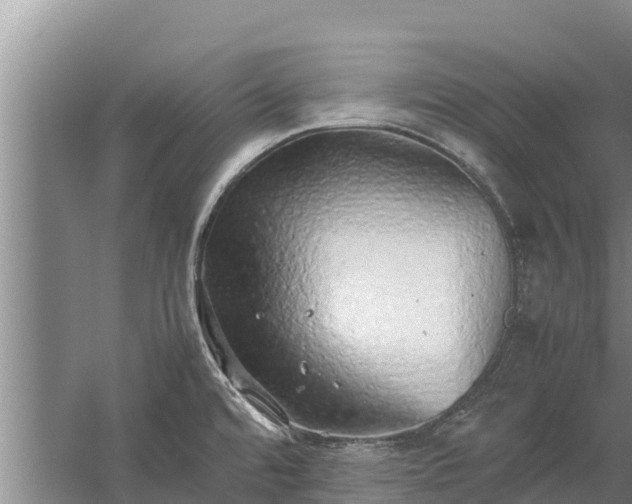 X0000058131480200509301940