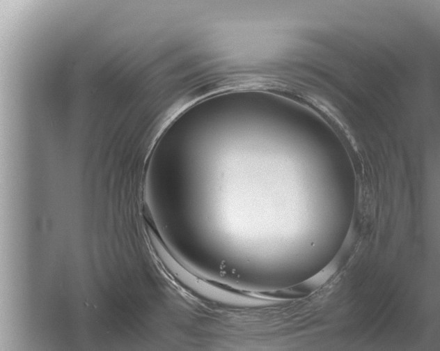 X0000058131481200509301940