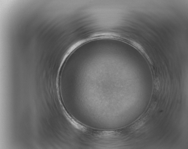 X0000058131482200509301940