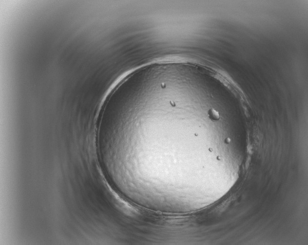 X0000058131484200509301940