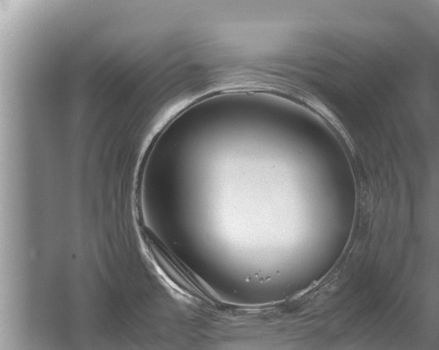 X0000058131485200509301940