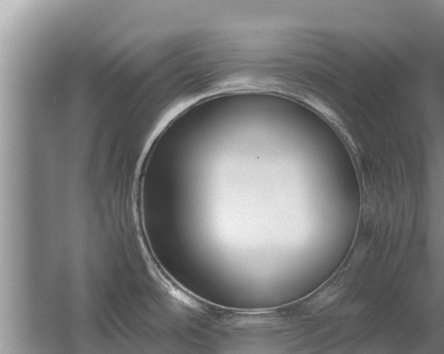 X0000058131486200509301940