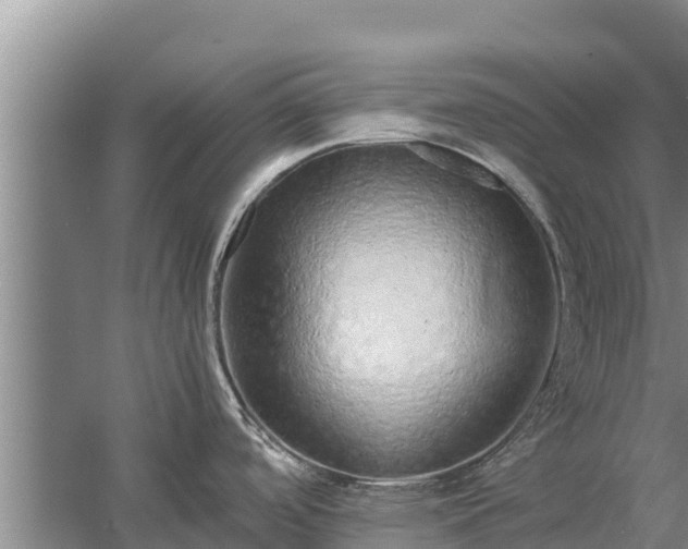 X0000058131488200509301940