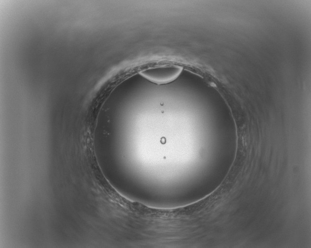 X0000058131495200509301939