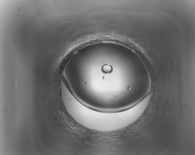 X0000058131496200509301939