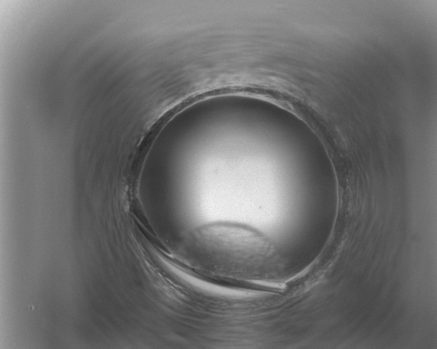 X0000058131497200509301939