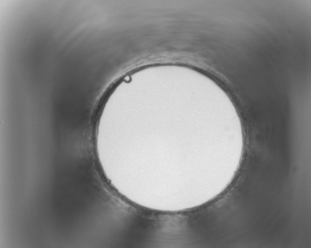 X0000058131498200509301939