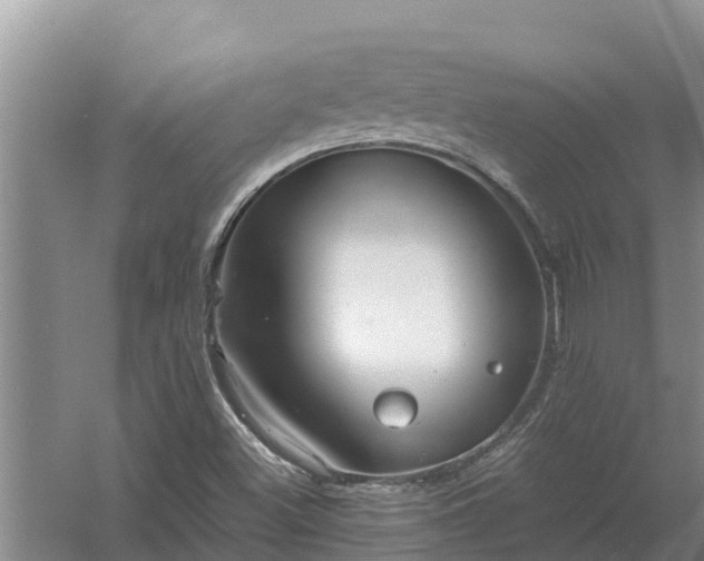 X0000058131500200509301939