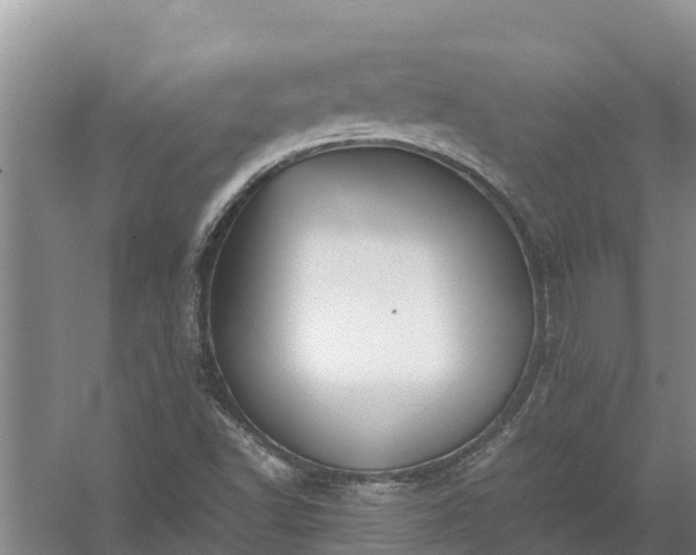 X0000058131502200509301939