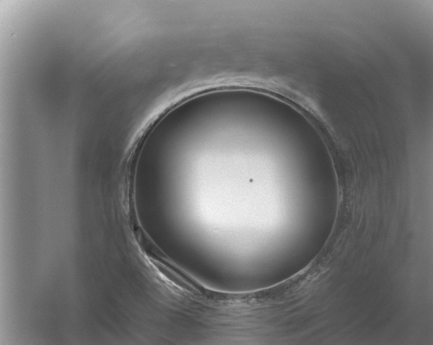 X0000058131504200509301939